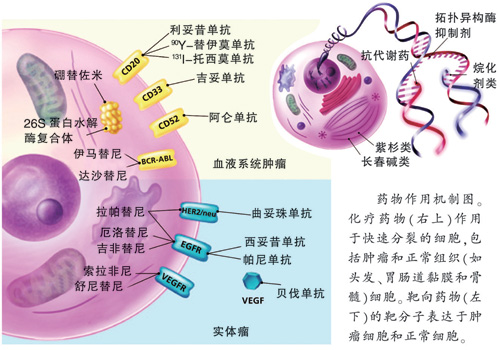 药物的不良反应 不良反应的性质