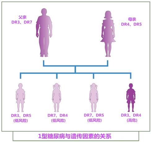 糖尿病遗传以及它的治疗方法