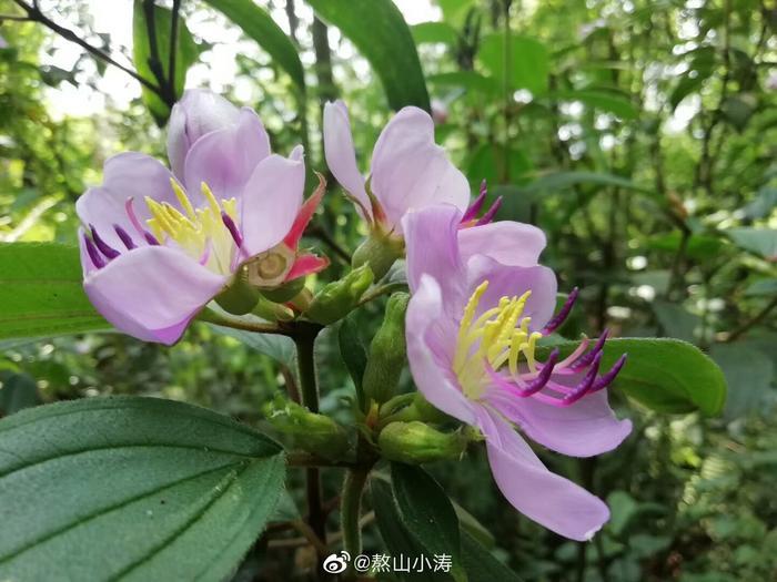 焕然一新的观音阁，历史底蕴深厚的老街，漂亮的沿河步道