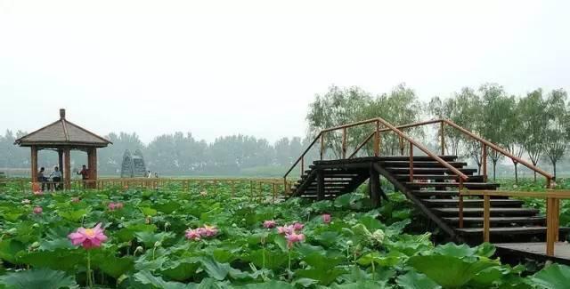 小程带你走进安新区之保定市安新县的历史沿革和行政区划变迁