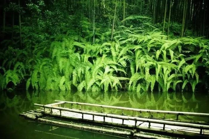 曾国藩16字家训,说出家道兴旺的玄机