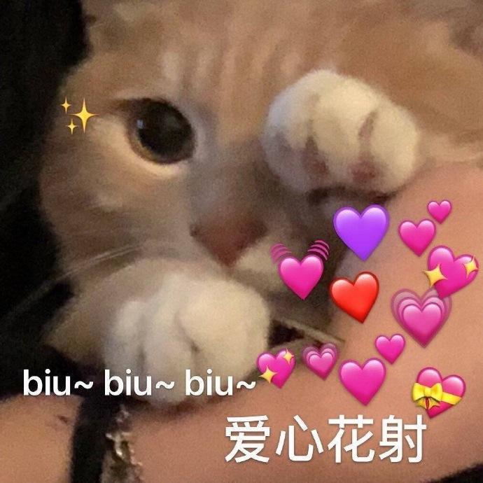 表情包更新：我是一个没有情感的杀手
