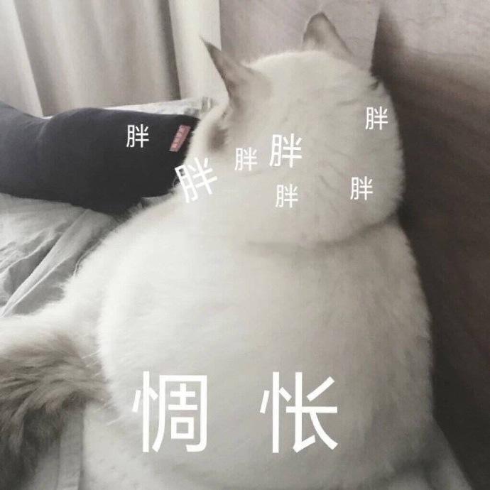 表情包更新：我是一个没有情感的杀手