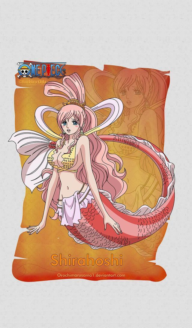 壁纸｜海迷有福利了 高清海贼王壁纸