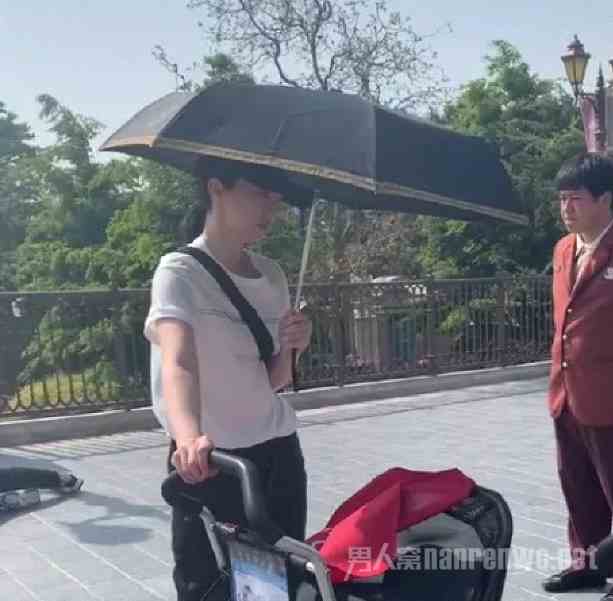 董璇图片