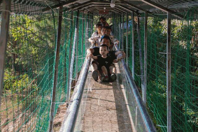 大马戏、美食节、玻璃栈道，东莞观音山承包你整个五一