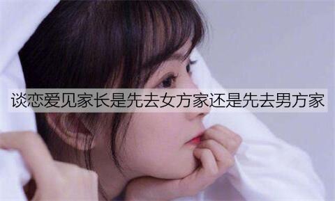 谈恋爱见家长是先去女方家还是先去男方家2
