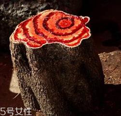 鸡血藤是什么颜色 形同鸡血色