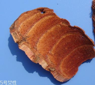 鸡血藤是什么颜色 形同鸡血色