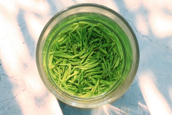 绿茶要一直泡在水里吗 绿茶要茶水分离吗