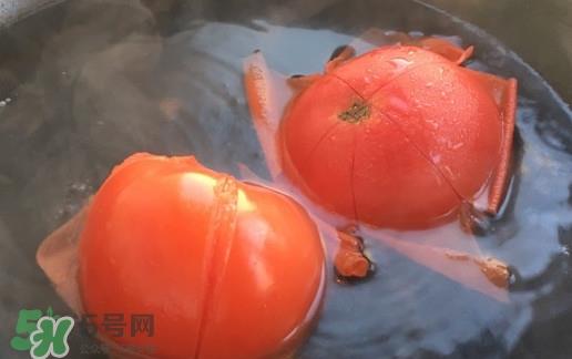 番茄怎么去皮？如何给番茄去皮