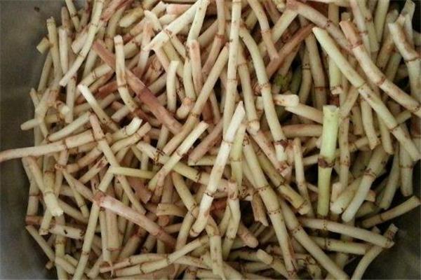 怎样降低鱼腥草的寒凉性 鱼腥草与什么搭配祛寒