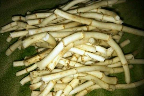 怎样降低鱼腥草的寒凉性 鱼腥草与什么搭配祛寒