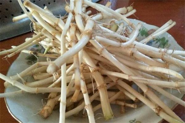 怎样降低鱼腥草的寒凉性 鱼腥草与什么搭配祛寒