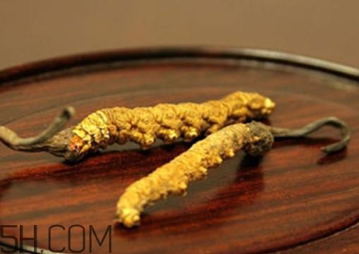 冬虫夏草怎么泡酒？冬虫夏草怎么炖