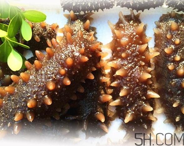 海参是酸性还是碱性?海参是凉性还是热性? 海参是酸性还是碱性?海参是凉性还是热性?