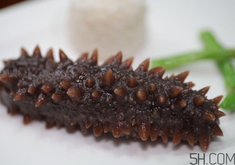 海参是酸性还是碱性?海参是凉性还是热性? 海参是酸性还是碱性?海参是凉性还是热性?