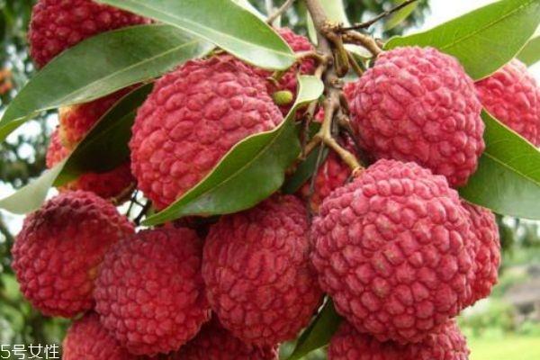 红毛丹放久了为什么会发黑 吃红毛丹需要注意的事项 红毛丹放久了为什么会发黑 吃红毛丹需要注意的事项