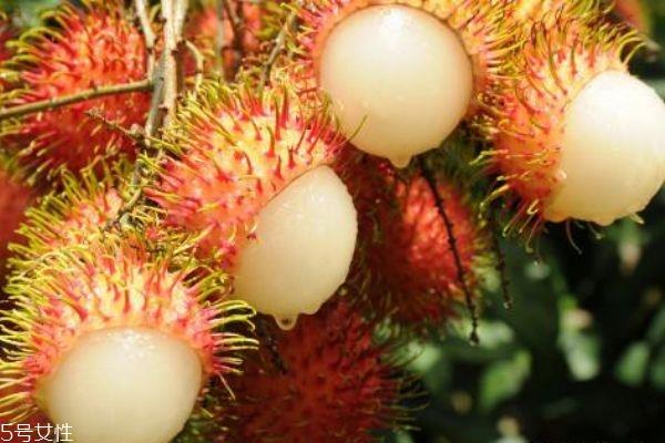 红毛丹放久了为什么会发黑 吃红毛丹需要注意的事项 红毛丹放久了为什么会发黑 吃红毛丹需要注意的事项