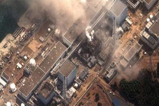 大内久83天活体腐烂图片