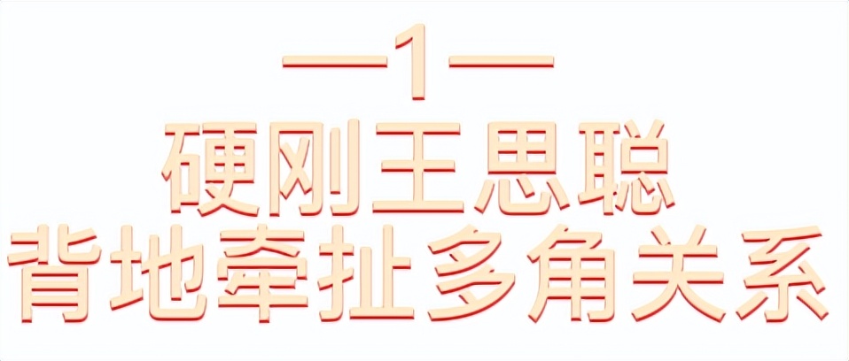 孙一宁：遭王思聪“舔狗式”追求却不动心，背后深陷四角关系？