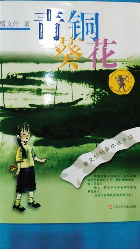 曹文轩简介个人资料（曹文轩是一位成功的书商）