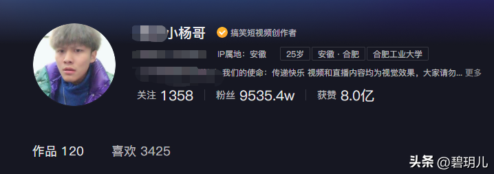 小杨哥个人资料简介哪里人（安徽95后小杨哥，粉丝数逼近1个亿，他们为什么那么招人追捧？）