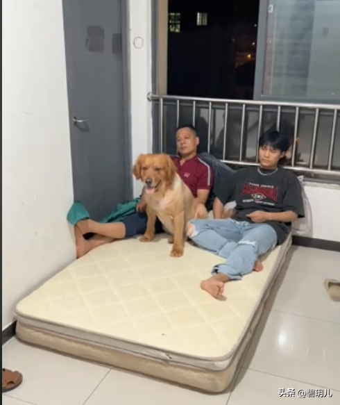 小杨哥个人资料简介哪里人（安徽95后小杨哥，粉丝数逼近1个亿，他们为什么那么招人追捧？）