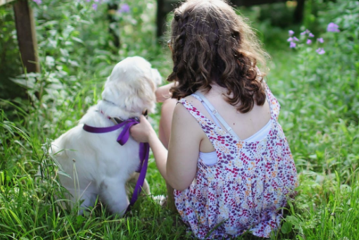 怀孕后多久可以通过验血知道性别.png 怀孕后多久可以通过验血知道性别.png