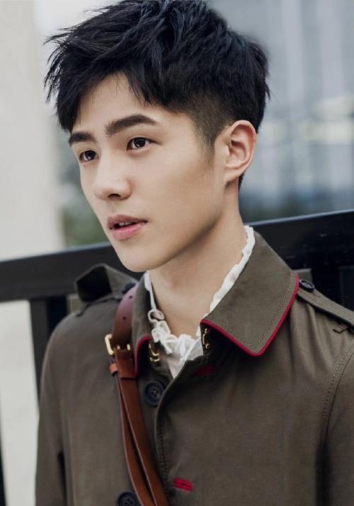 北京舞蹈学院有哪些明星(北京舞蹈学院有哪些人) 北京舞蹈学院 明星 第7张