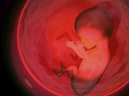 怀孕期间多少天能查出男孩女孩呢.png 怀孕期间多少天能查出男孩女孩呢.png