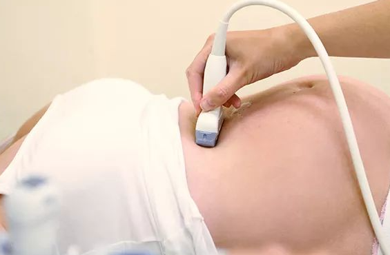 孕8周抽血验男女准确率高吗?受什么因素影响?.png 孕8周抽血验男女准确率高吗?受什么因素影响?.png