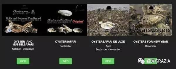 易烊千玺丹麦直播回放(跟易烊千玺去丹麦消灭生蚝)(16)