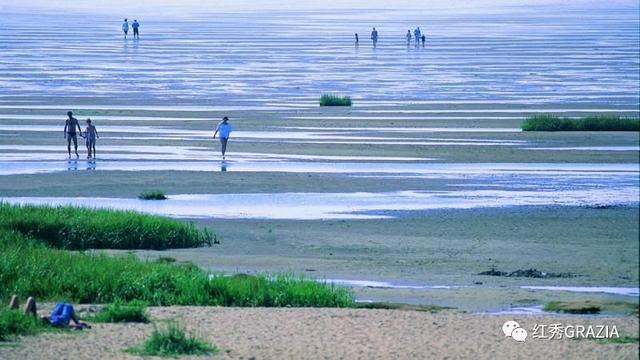 易烊千玺丹麦直播回放(跟易烊千玺去丹麦消灭生蚝)(14)