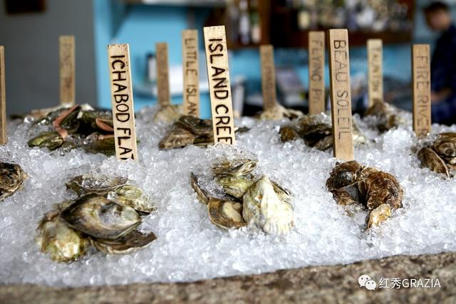 易烊千玺丹麦直播回放(跟易烊千玺去丹麦消灭生蚝)(10)