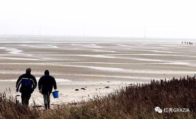 易烊千玺丹麦直播回放(跟易烊千玺去丹麦消灭生蚝)(17)