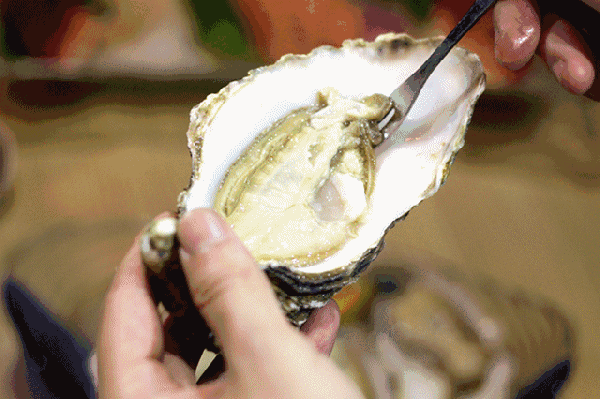 易烊千玺丹麦直播回放(跟易烊千玺去丹麦消灭生蚝)(26)