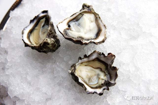 易烊千玺丹麦直播回放(跟易烊千玺去丹麦消灭生蚝)(33)