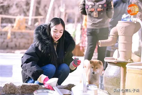 刘诗诗版王语嫣古装美图（嫣语赋六位女星颜值对比）(13)