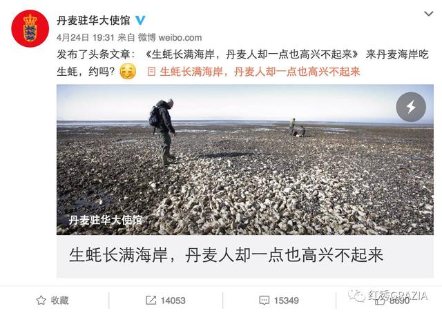 易烊千玺丹麦直播回放（跟易烊千玺去丹麦消灭生蚝）(3)