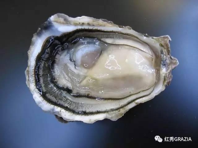 易烊千玺丹麦直播回放（跟易烊千玺去丹麦消灭生蚝）(30)
