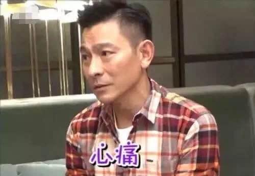 刘德华家庭简历(刘德华身价不菲)(24)