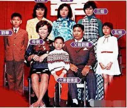 刘德华家庭简历(刘德华身价不菲)(2)