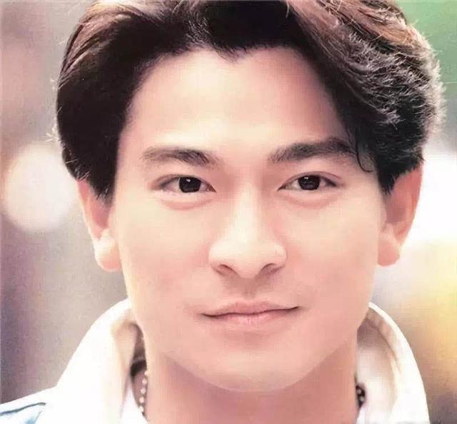 刘德华家庭简历(刘德华身价不菲)(25)