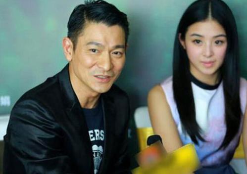 刘德华家庭简历(刘德华身价不菲)(5)