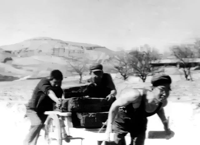 郭冬临牛莉身价(因8个字被索赔1亿)(4)