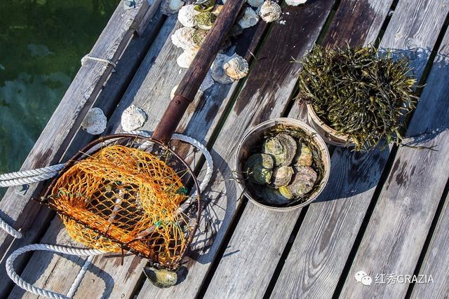 易烊千玺丹麦直播回放(跟易烊千玺去丹麦消灭生蚝)(15)