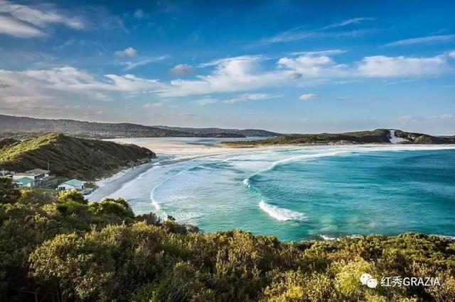 易烊千玺丹麦直播回放(跟易烊千玺去丹麦消灭生蚝)(13)