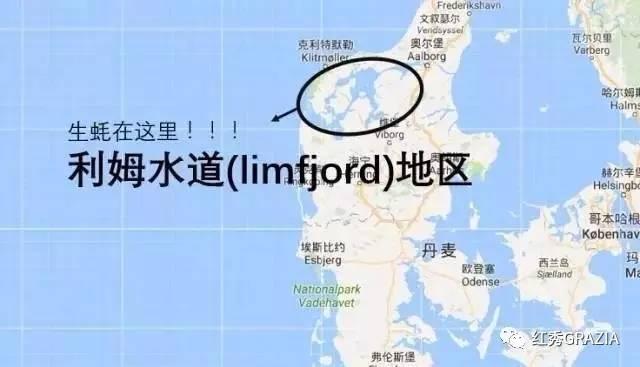 易烊千玺丹麦直播回放(跟易烊千玺去丹麦消灭生蚝)(11)