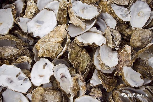 易烊千玺丹麦直播回放(跟易烊千玺去丹麦消灭生蚝)(8)